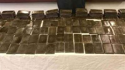 الداخلية تضبط 220 طربة حشيش بالبحيرة وبنى سويف