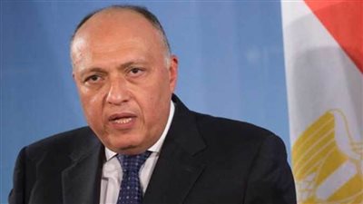 وزير الخارجية: الدولة المصرية اتخذت خطوات هامة لتعزيز حقوق الطفل