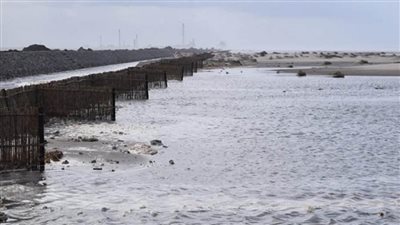 وزير الري: دلتا نهر النيل واحدة من أكثر المناطق المهددة بالعالم والأكثر حساسية للتغيرات المناخية (صور)