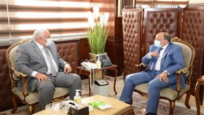وزير التنمية المحلية يتابع مع محافظ الوادي الجديد مستجدات مشروع الجذب السكاني 