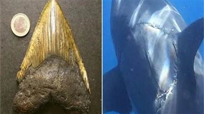  مخاوف من عودة 