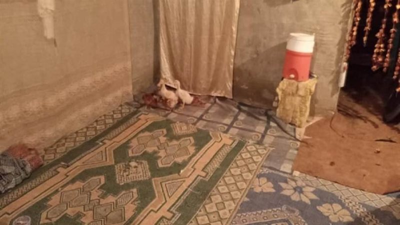 الشورى