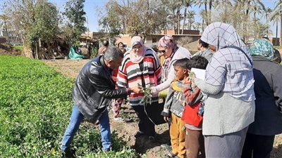 الانتهاء من تنفيذ 30 مدرسة حقلية في الأسبوع الثاني من يناير بالمحافظات