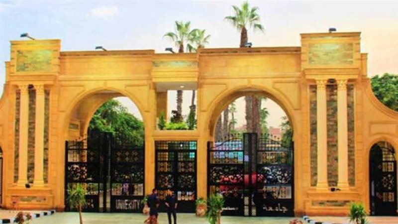 جامعة المنصورة