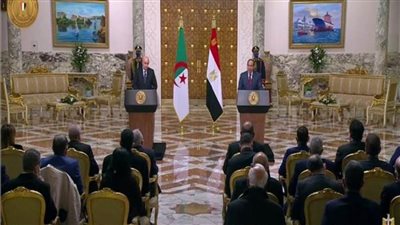 فيديو.. الأزمة الليبية والقضية الفلسطينية تتصدران مباحثات السيسي والرئيس الجزائري