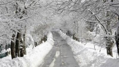 تحذيرات من هبوب عاصفة شتوية قاسية على مدينة نيويورك الأمريكية