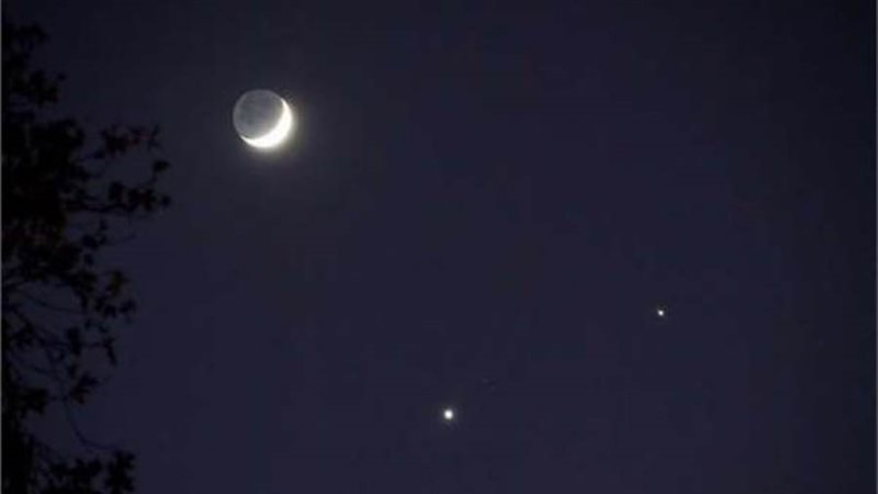 أرشيفية