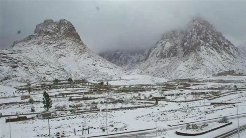 الشورى