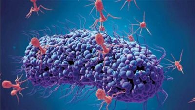 قد ينقذ أكثر من 10 ملايين سنويا.. اختراق محتمل لـ«البكتيريا القاتلة» 