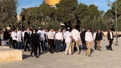 مستوطنون يقتحمون ساحات المسجد الأقصى فى حراسة شرطة الاحتلال الاسرائيلى