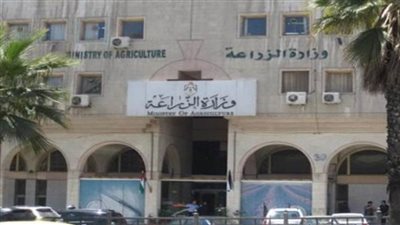 وزارة الزراعة تنفي رفض روسيا شحنة موالح مصرية