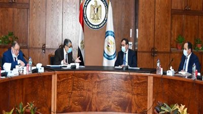 اجتماع مشترك بين البترول والكهرباء لبحث توفير احتياجات محطات توليد الكهرباء من الغاز الطبيعي والوقود (صور)