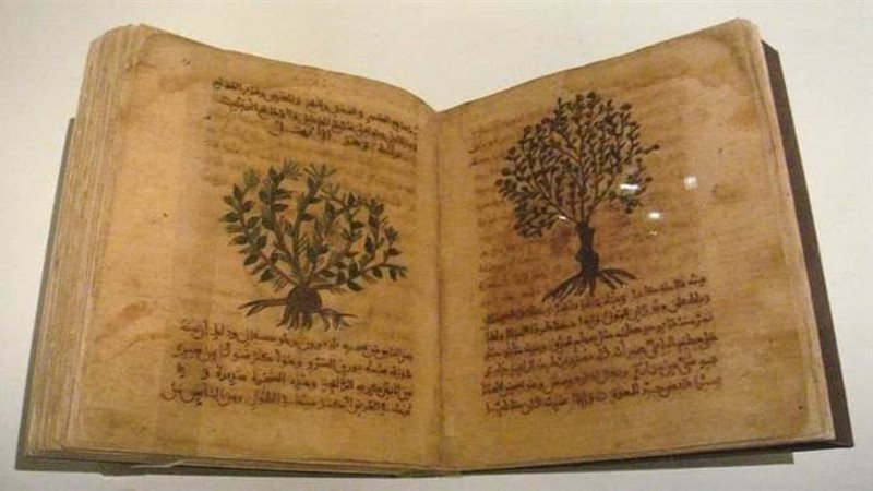 الشورى