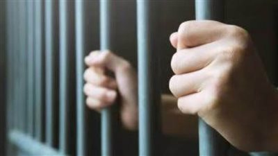 حبس المتهمين بتعريض حياة طفل للخطر بسبب البحث عن الآثار بالشرقية