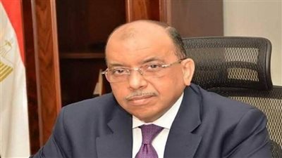 وزير التنمية المحلية يتابع جهود المحافظات في التعامل مع موجة الطقس السيء (صور)