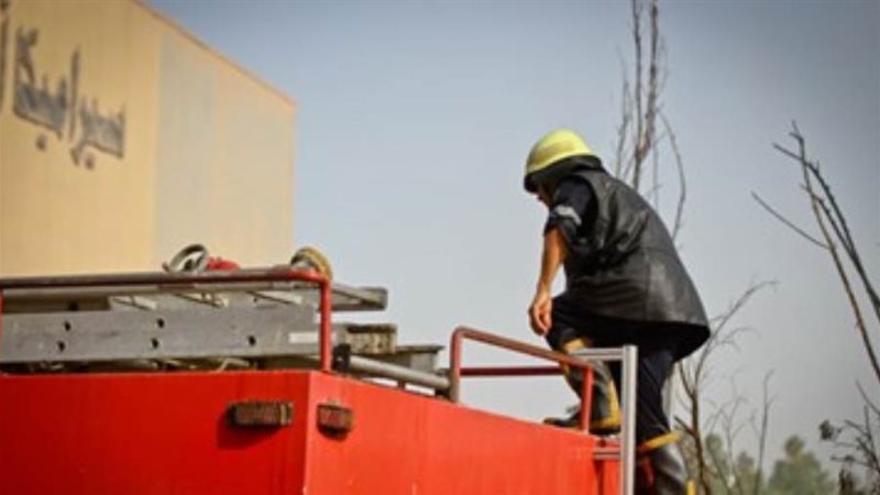الشورى