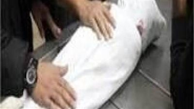 أمن الجيزة يكشف ملابسات واقعة تغيب طفلة والعثور على جثتها في «أبو النمرس» 