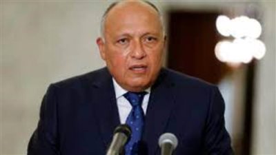 مصر تدعو لدعم جهود إنشاء منطقة خالية من الأسلحة النووية بالشرق الأوسط