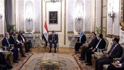 رئيس الوزراء يستقبل رئيس الاتحاد الدولي لجمعيات الصليب الأحمر والهلال الأحمر (صور)