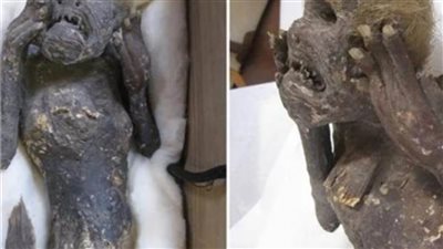 عمرها 300 عام.. اكتشاف مومياء لـ حورية بحر حيرة العلماء وربطوا وجودها بتفشي فيروس 