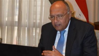 وزير الخارجية يؤكد دعم مصر المتواصل للقضية الفلسطينية