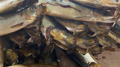 ضبط 631 كيلو لحوم وأسماك 