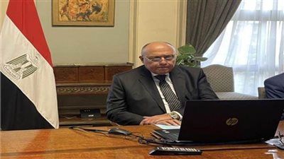 شكري يجتمع مع وزير الدولة البريطاني ألوك شارما للتشاور بشأن تغير المناخ