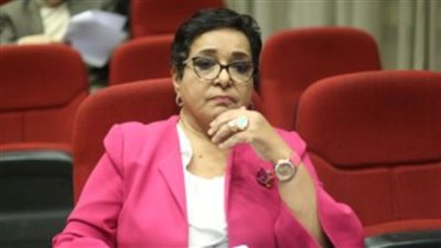 وزير المالية ناعيًا أنيسة حسونة: ستظل محفورةً فى ذاكرة الوطن بعطائها الإنسانى