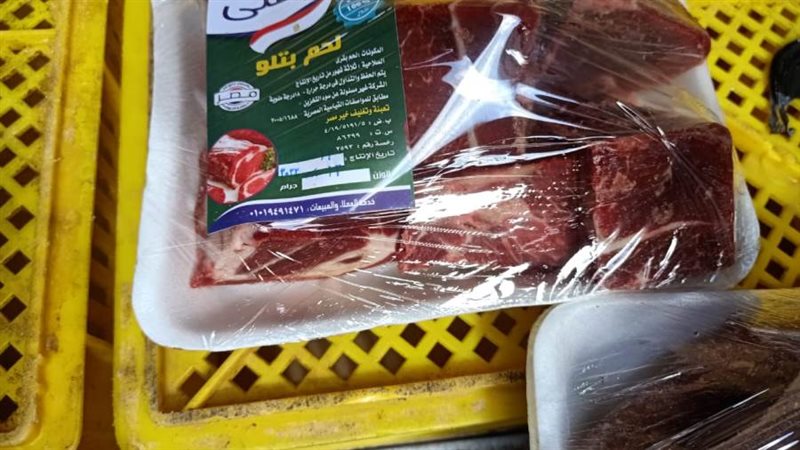 الشورى