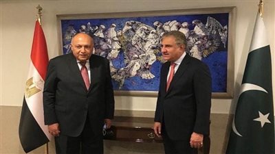 وزير الخارجية يبحث مع نظيره الباكستاني دعم العلاقات الثنائية والقضايا الإقليمية (صور)