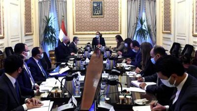 رئيس الوزراء يناقش عروض إقامة مشروعات الهيدروجين الأخضر في مصر