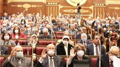 مجلس الشيوخ يوافق نهائيا على تعديلات قانون العمل الأهلي