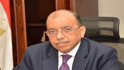 وزير التنمية المحلية يتلقى تقريرا عن أعمال الموجة 19 لإزالة التعديات على أملاك وأراض الدولة 