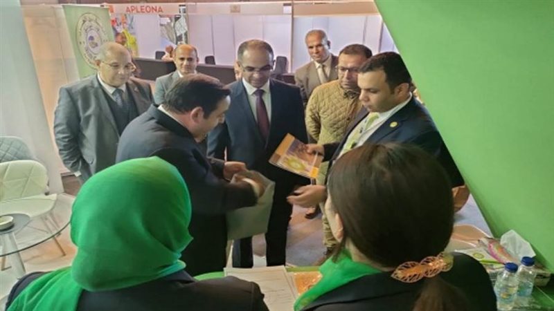 الشورى