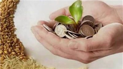 «دار الإفتاء» تعلن الحد الأدنى لزكاة الفطر في رمضان 2022