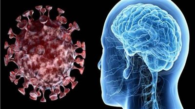 دراسة حديثة: «كوفيد-19» قد يسبب تغيرات في الدماغ