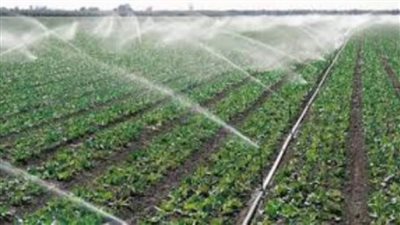 القصير يناشد المزارعين بالتحول لأساليب الري الحديث لفوائده المتعددة