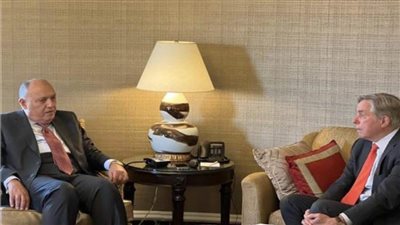 شكري يلتقي كبير مستشاري المبعوث الرئاسي الأمريكي للمناخ