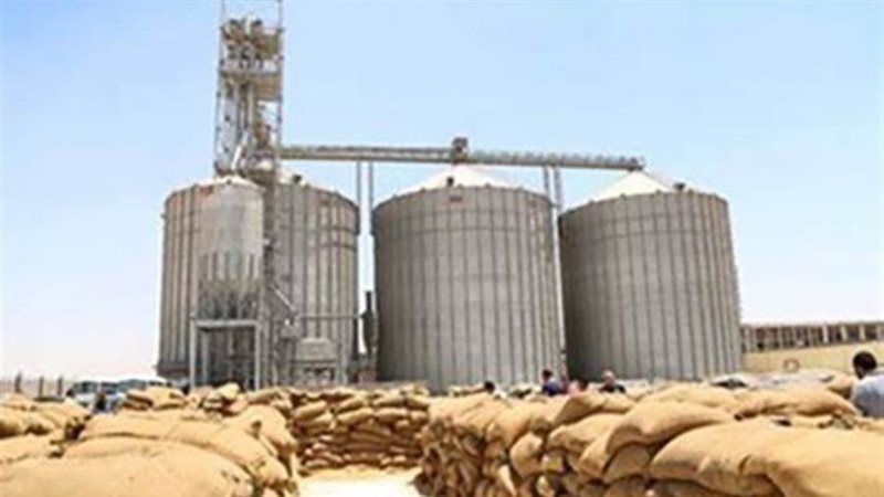 ارشيفية
