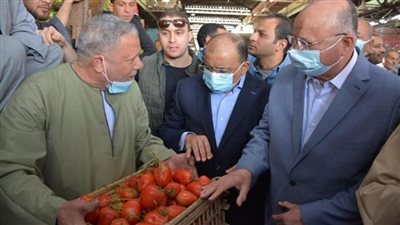 وزير التنمية المحلية ومحافظ القاهرة يتفقدان سوق العبور لمتابعة الأسعار (صور)