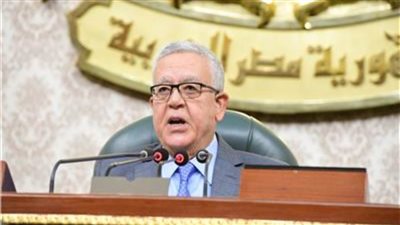 «جبالي» يرفع أعمال الجلسة العامة للنواب وعودة الانعقاد غدًا