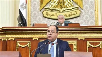 وزير المالية أمام النواب: 220 مليار جنيه إيرادات للدولة لم تحصل بسبب الأزمات 