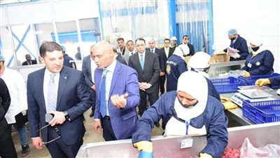 رئيس هيئة الاستثمار يتفقد سير العمل بمشروعات المنطقتين الاستثماريتين في بنها وميت غمر (صور)