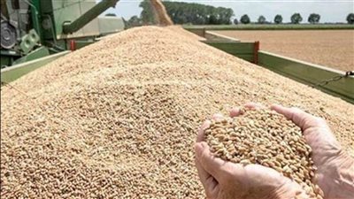 الزراعة: زيادة نقاط الاستلام إلى 450 بالقرب من الفلاحين