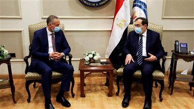 مباحثات لوزير البترول مع وفد هنى ويل العالمية في مجالات الطاقة الخضراء (صور)