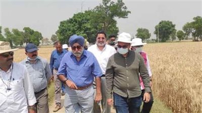 اعتماد الهند منشأ جديدًا لاستيراد القمح