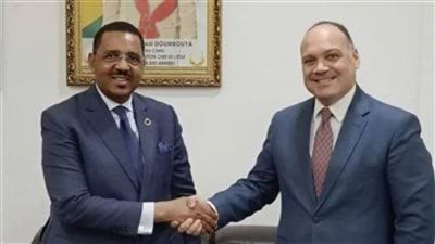 مباحثات بين مصر وغينيا حول سُبل تعزيز التعاون الثنائي في مجال الصحة