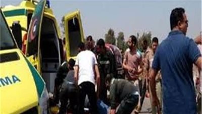 بالأسماء .. إصابة 11 شخصا إثر إصطدام سيارة ميكروباص بأخرى ملاكى بالبحيرة 