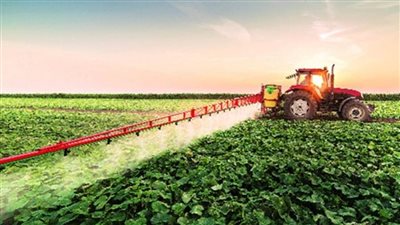 بالإنفوجراف | 