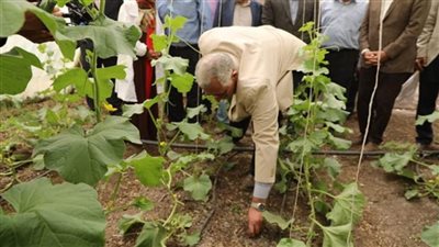 وزير الزراعة ومحافظ القليوبية يتفقدان صوب المشروع القومي لإنتاج التقاوي في قها